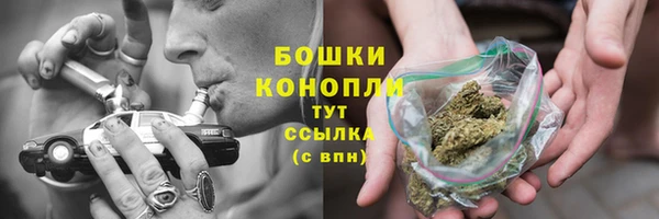 СК Волоколамск