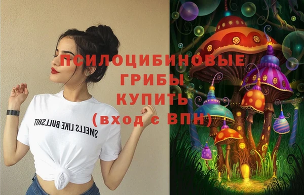 прущие крисы Верея