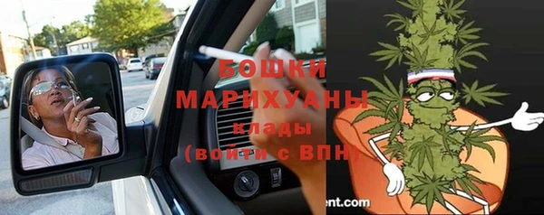 прущие крисы Верея