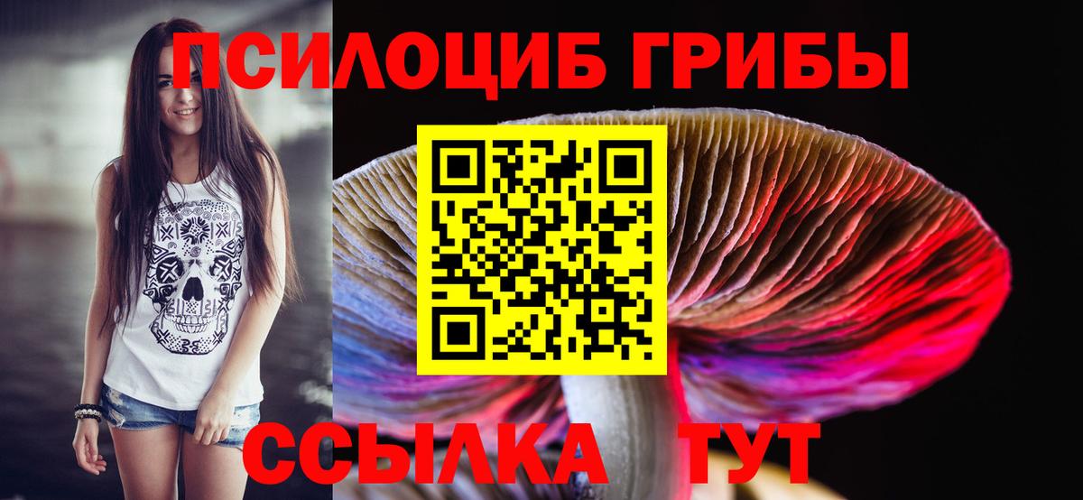 Галлюциногенные грибы прущие грибы Георгиевск