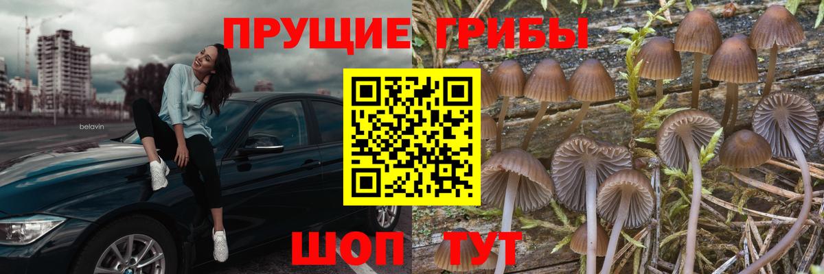 Галлюциногенные грибы мухоморы  Псилоцибиновые грибы Magic Shrooms  Георгиевск 