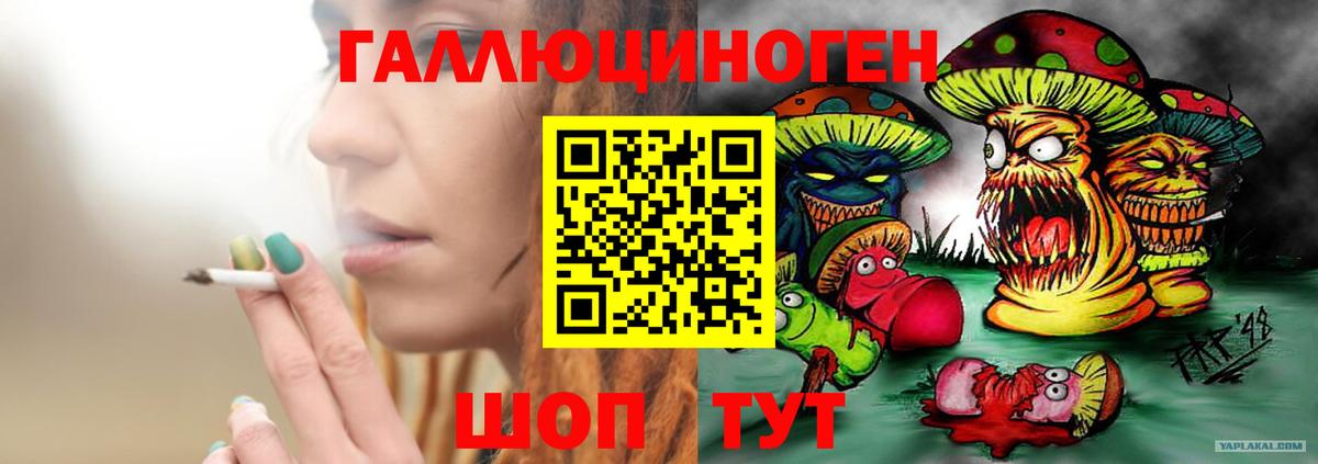 Георгиевск  Псилоцибиновые грибы GOLDEN TEACHER  Вход с VPN 